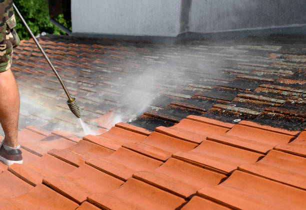 Best Roof Pressure Washing  in Rector, AR