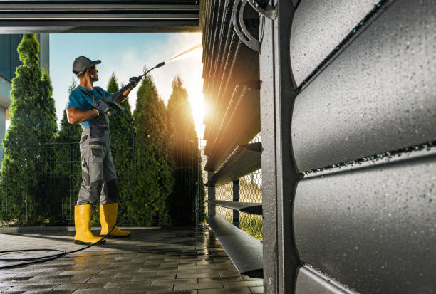 Best Pressure Washing Siding  in Rector, AR