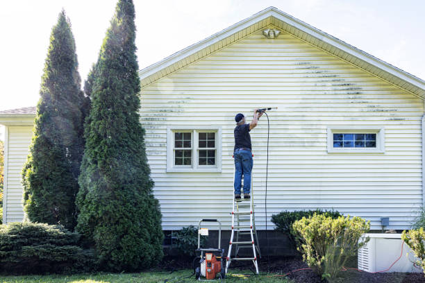 Best Commercial Building Pressure Washing  in Rector, AR